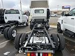 New 2024 Chevrolet LCF 3500 Regular Cab Cab Chassis for sale #240984 - photo 2