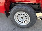 New 2025 Chevrolet Silverado 1500 Work Truck Regular Cab 4WD Pickup for sale #251259 - photo 35
