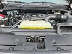 2024 Ford F-150 SuperCrew Cab 4x4 Pickup for sale #R803A - photo 25