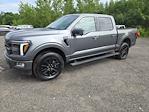 Used 2024 Ford F-150 Platinum SuperCrew Cab 4WD Pickup for sale #51651AQ - photo 3