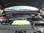 Used 2024 Ford F-150 Platinum SuperCrew Cab 4WD Pickup for sale #51651AQ - photo 29