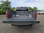 Used 2024 Ford F-150 Platinum SuperCrew Cab 4WD Pickup for sale #51651AQ - photo 32