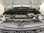 2023 Chevrolet Silverado 1500 Regular Cab RWD Pickup for sale #52239A - photo 6