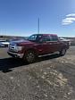 2014 Ford F-150 SuperCrew Cab 4WD Pickup for sale #FF111A - photo 4