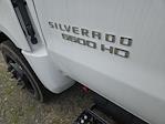 New 2024 Chevrolet Silverado 5500 Work Truck Crew Cab Cab Chassis for sale #TR10141T24 - photo 14