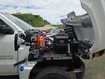 New 2024 Chevrolet Silverado 5500 Work Truck Crew Cab Cab Chassis for sale #TR10141T24 - photo 16