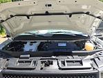 New 2025 Chevrolet Express 3500 Box Van for sale #TR10813T25 - photo 10