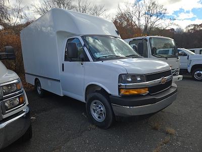 New 2025 Chevrolet Express 3500 Service Utility Van for sale #TR10816T25 - photo 1