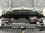 2025 Chevrolet Silverado 1500 Regular Cab 4x2 Pickup for sale #TR10989T25 - photo 6