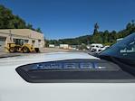 2025 Chevrolet Silverado 3500 Regular Cab 4WD Cab Chassis for sale #TR11273T25 - photo 14