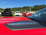 New 2025 Chevrolet Silverado 3500 Regular Cab 60 CA Cab Chassis for sale #TR11278T25 - photo 14