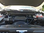 2025 Chevrolet Silverado 3500 Regular Cab 4WD Cab Chassis for sale #TR11281T25 - photo 14