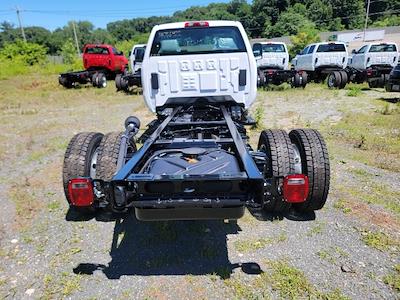 2023 Chevrolet Silverado 4500 Regular Cab DRW 4x2, Cab Chassis for sale #TR8618T23 - photo 2