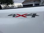 New 2024 Chevrolet Silverado 2500 Work Truck Double Cab 4x4 SRW Pickup for sale #FT24464 - photo 6