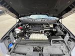 2023 Ford F-150 SuperCrew Cab 4WD Pickup for sale #210923X - photo 22