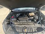 2023 Chevrolet Silverado 1500 Crew Cab 4WD Pickup for sale #211002X - photo 22