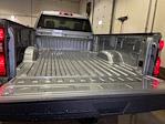 2025 Chevrolet Silverado 2500 Regular Cab 4WD, Pickup for sale #C25872 - photo 16