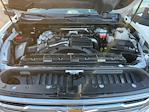 2024 Chevrolet Silverado 2500 Crew Cab 4WD Pickup for sale #C26101A - photo 22