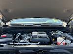 2024 Chevrolet Silverado 1500 Crew Cab 4WD Pickup for sale #C26101B - photo 22