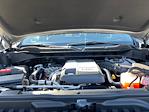 New 2025 Chevrolet Silverado 1500 Trail Boss Custom Crew Cab 4WD Pickup for sale #C26430 - photo 22