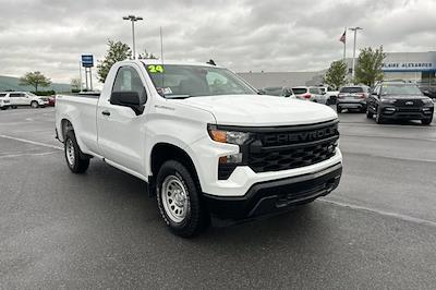 2024 Chevrolet Silverado 1500 Regular Cab 4WD Pickup for sale #B24093A - photo 1