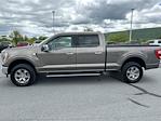 2021 Ford F-150 SuperCrew Cab 4WD Pickup for sale #B24197A - photo 8