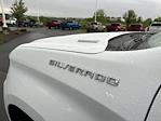 2025 Chevrolet Silverado 1500 Regular Cab 4WD Pickup for sale #B24204 - photo 24