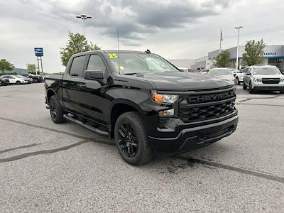 2025 Chevrolet Silverado 1500 Crew Cab 4WD Pickup for sale #B24250 - photo 1