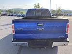 2013 Ford F-150 Super Cab 4WD Pickup for sale #B24294A - photo 7