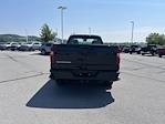 New 2025 Chevrolet Silverado 1500 Work Truck Regular Cab 4WD Pickup for sale #B24403 - photo 12