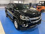 2019 Chevrolet Colorado Crew Cab 4WD Pickup for sale #B24601B - photo 1