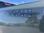 2025 Chevrolet Silverado 2500 Crew Cab 4WD Pickup for sale #B24649 - photo 25