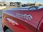 2025 Chevrolet Silverado 1500 Crew Cab 4WD Pickup for sale #B25129A - photo 13