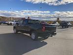 2019 Chevrolet Silverado 1500 Double Cab 4WD Pickup for sale #BA12978H - photo 10