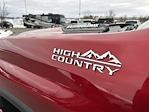 2025 Chevrolet Silverado 3500 Crew Cab 4WD Pickup for sale #BA13147 - photo 9