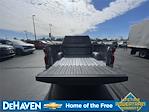 2024 Chevrolet Silverado 1500 Double Cab RWD Pickup for sale #T164A - photo 24