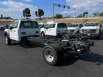 New 2024 Ford F-600 - photo 1