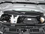 2024 Chevrolet Express 3500 RWD Passenger Van for sale #21290960P - photo 45