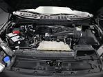 2022 Ford F-150 SuperCrew Cab 4WD Pickup for sale #21A43469T - photo 56
