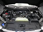 2021 Ford F-150 Regular Cab 4WD Pickup for sale #21E97120P - photo 55