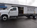 2024 Chevrolet Silverado 6500 Regular Cab DRW RWD, Cab Chassis for sale #RH127282 - photo 5