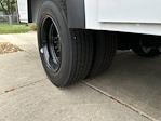 2024 Chevrolet Silverado 5500 Regular Cab DRW 4WD Service Truck for sale #113569 - photo 10