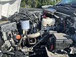 2023 Chevrolet Silverado 4500 Regular Cab DRW RWD Cab Chassis for sale #113691 - photo 25