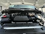 2024 Chevrolet Silverado 1500 Regular Cab RWD Pickup for sale #113758 - photo 23