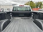 2024 Chevrolet Silverado 1500 Regular Cab RWD Pickup for sale #113758 - photo 6