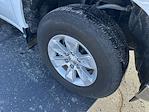 2024 Chevrolet Silverado 1500 Regular Cab RWD Pickup for sale #113823 - photo 10
