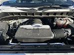 2024 Chevrolet Silverado 1500 Regular Cab RWD Pickup for sale #113823 - photo 23