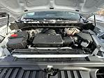 2024 Chevrolet Silverado 1500 Regular Cab RWD Pickup for sale #113824 - photo 23