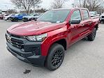 New 2026 Chevrolet Colorado Work Truck Crew Cab for sale #1175447 - photo 1