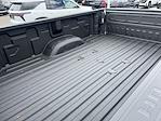 2025 Chevrolet Silverado 3500 Crew Cab 4WD Pickup for sale #F319678 - photo 12